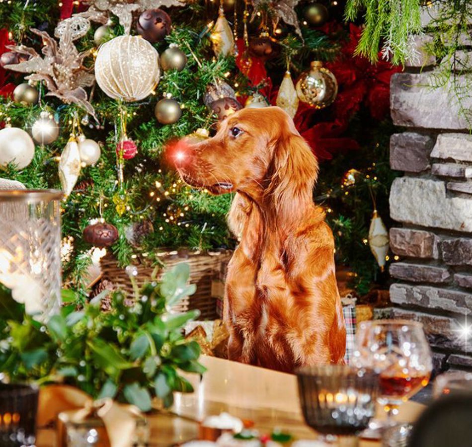 New Years Eve Celebration