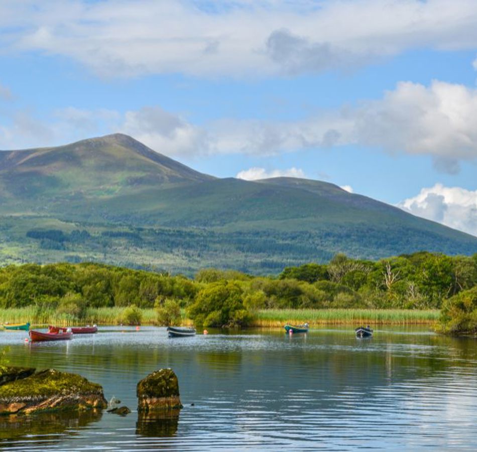 Summer Sale 15% off 2 Nights B&B & 1 Dinner