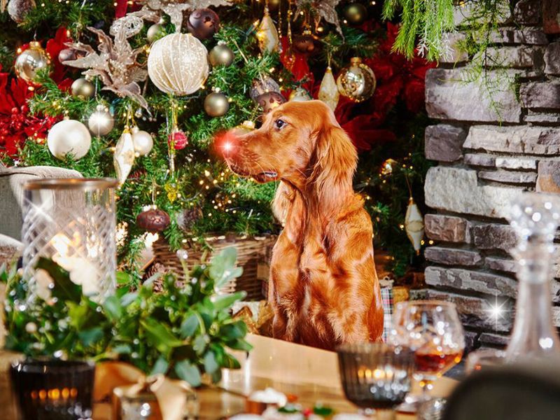 New Years Eve Celebration