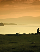Autumn Midweek 4 Nights at Golden's Cove