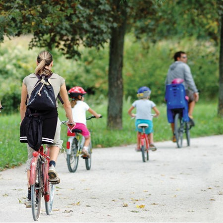 Family Cycle 1