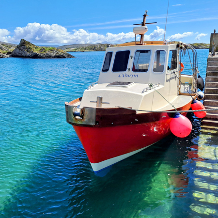 Local Boat trips